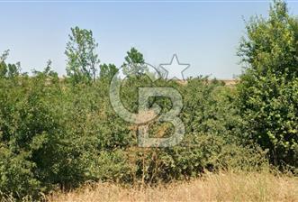 BABAESKİ DÜĞÜNCÜLÜ'DE SATILIK 12.485 M2 TEK TAPU TARLA - 1 - 356689