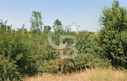 BABAESKİ DÜĞÜNCÜLÜ'DE SATILIK 12.485 M2 TEK TAPU TARLA