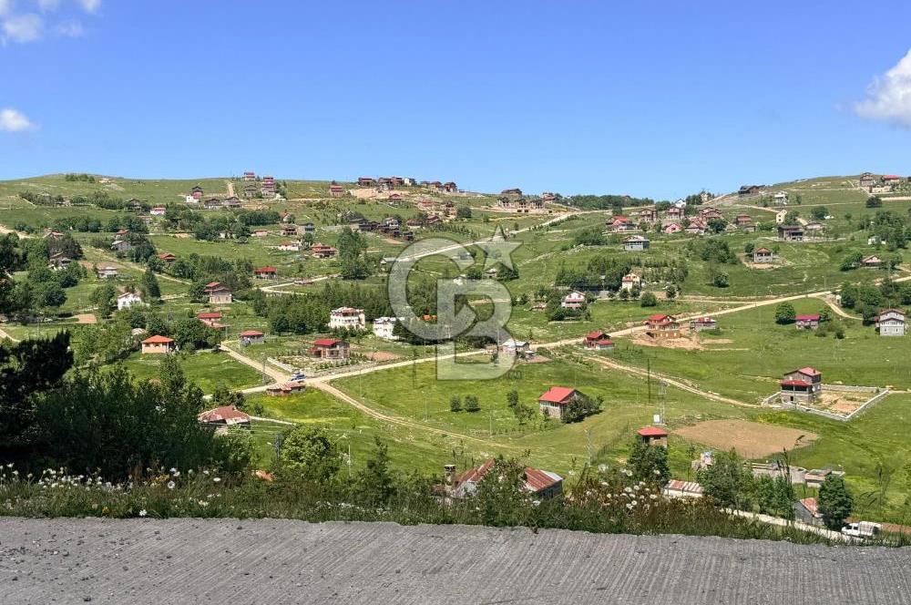 ÇAMBAŞI YAYLASI'NNDA 4 ADET BUNGALOVDAN OLUŞAN YATIRIM