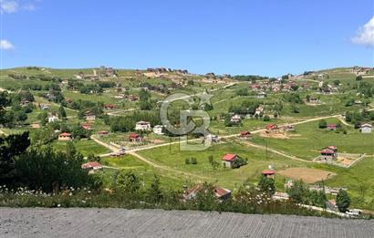 ÇAMBAŞI YAYLASI'NNDA 4 ADET BUNGALOVDAN OLUŞAN YATIRIM