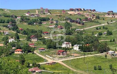 ÇAMBAŞI YAYLASI'NNDA 4 ADET BUNGALOVDAN OLUŞAN YATIRIM