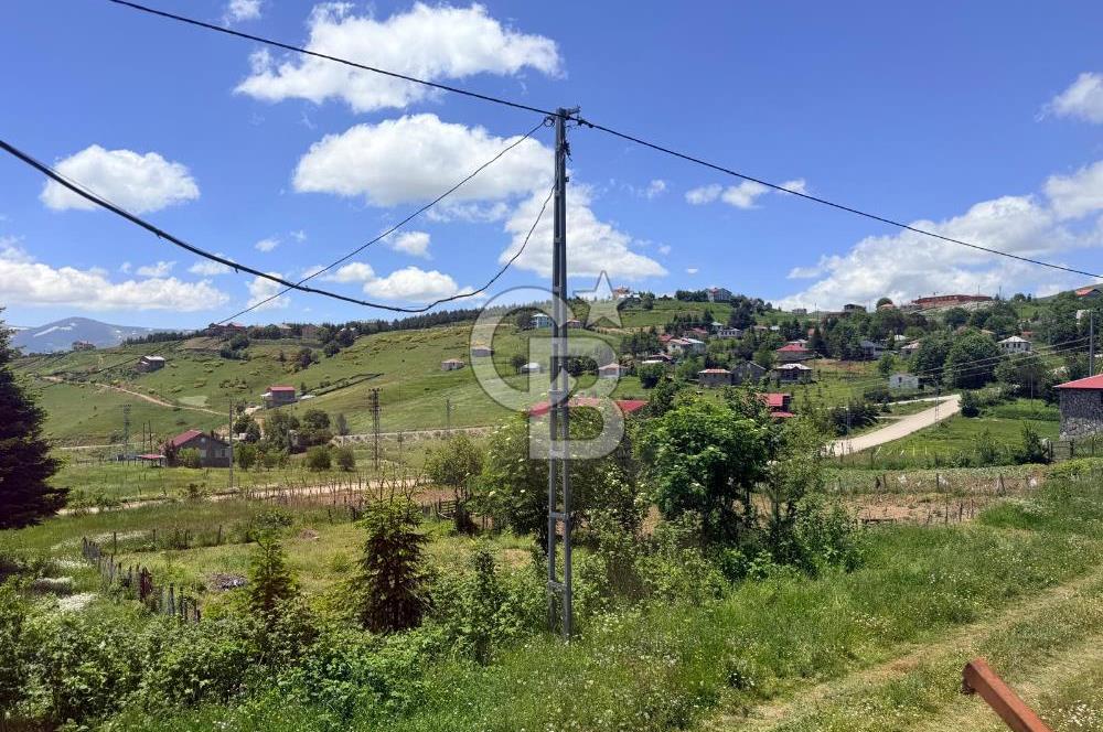 ÇAMBAŞI YAYLASI'NNDA 4 ADET BUNGALOVDAN OLUŞAN YATIRIM