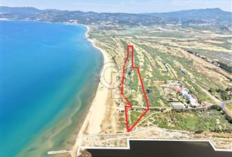 SELÇUK PAMUCAKTA 52.151 m² DENİZ KIYISINDA ÖZEL YATIRIM ARAZİSİ - 5 - 356656