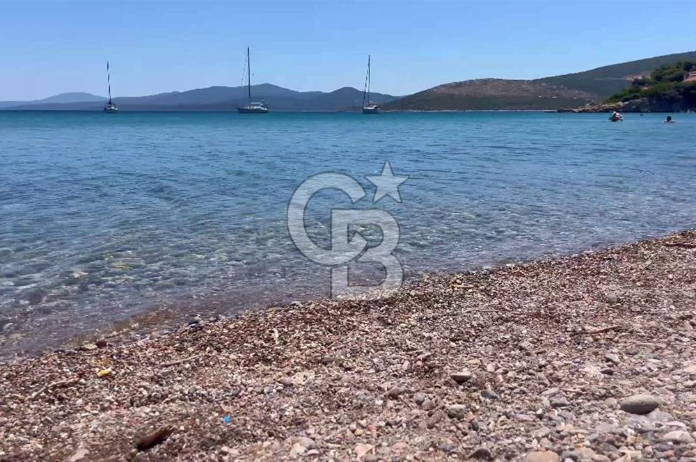 Mordoğan Manal Koyu'nda Denize Sıfır Müstakil Ev