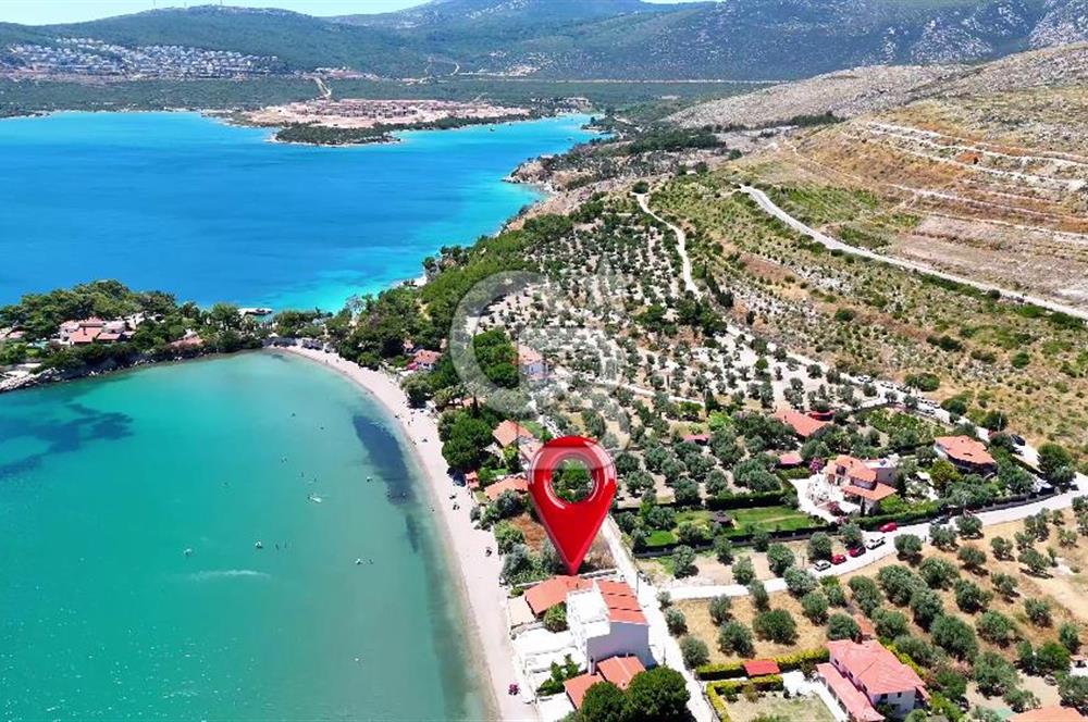 Mordoğan Manal Koyu'nda Denize Sıfır Müstakil Ev