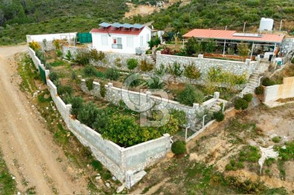Manzaralı,Prefabrik Evli,Güneş Enerjili 1 Dönüm Zeytinlik