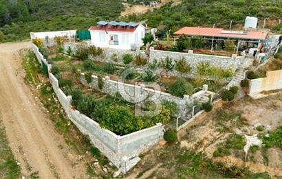 Manzaralı,Prefabrik Evli,Güneş Enerjili 1 Dönüm Zeytinlik