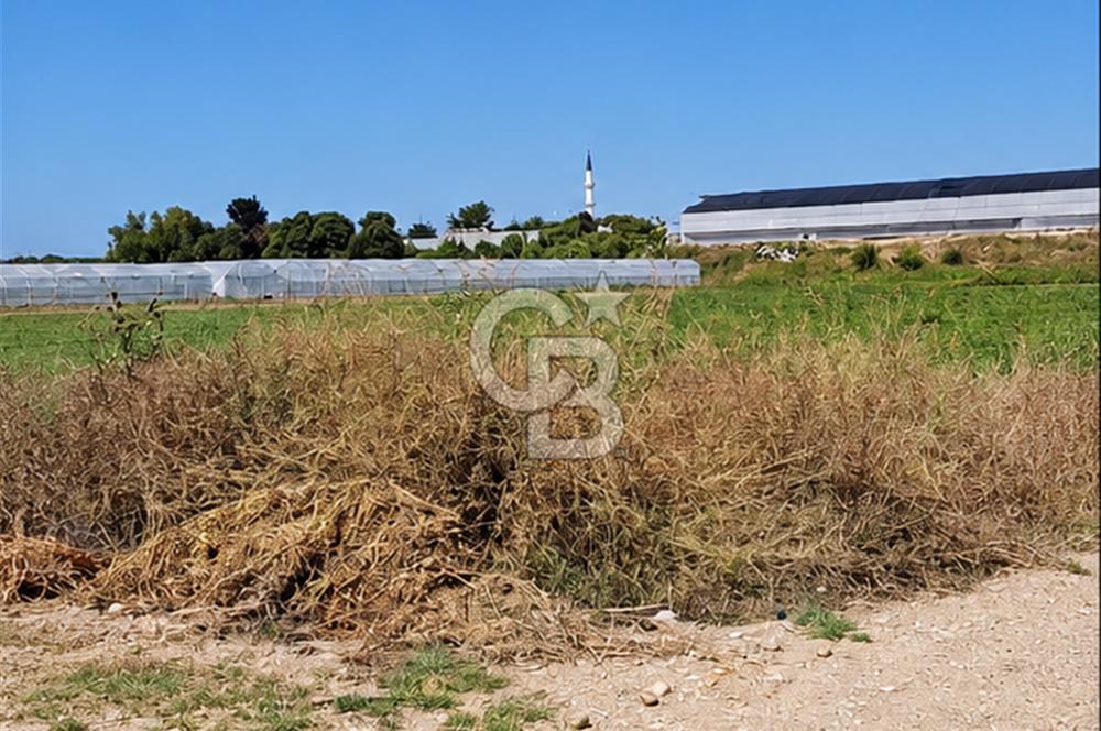 SERA HAVZASINDA NADİR FIRSAT SATILIK TARLA | 9894 m2  | YATIRIMLIK