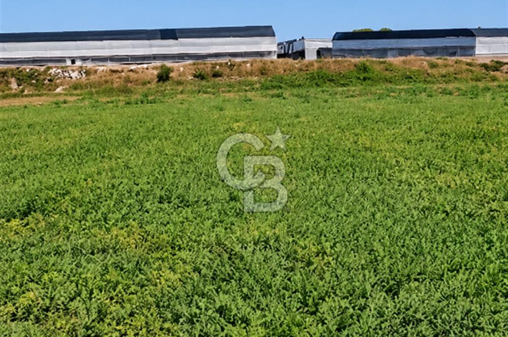SERA HAVZASINDA NADİR FIRSAT SATILIK TARLA | 9894 m2  | YATIRIMLIK