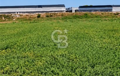 SERA HAVZASINDA NADİR FIRSAT SATILIK TARLA | 9894 m2  | YATIRIMLIK