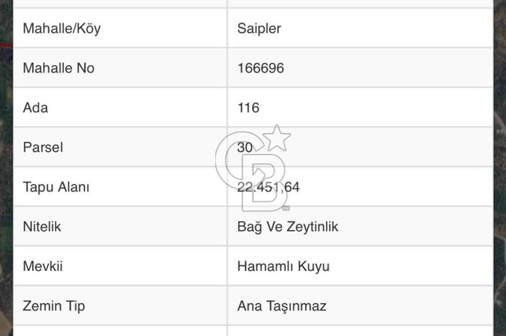 Saiplerde satılık tarla