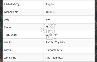 Saiplerde satılık tarla
