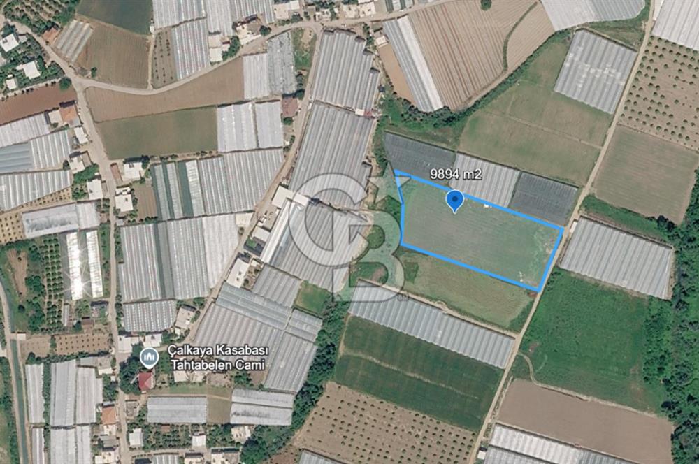SERA HAVZASINDA NADİR FIRSAT SATILIK TARLA | 9894 m2  | YATIRIMLIK