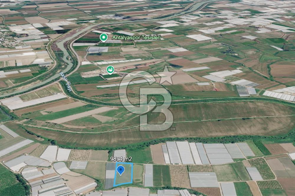 SERA HAVZASINDA NADİR FIRSAT SATILIK TARLA | 9894 m2  | YATIRIMLIK