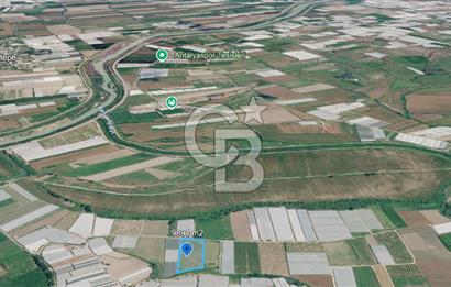 SERA HAVZASINDA NADİR FIRSAT SATILIK TARLA | 9894 m2  | YATIRIMLIK