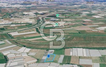 SERA HAVZASINDA NADİR FIRSAT SATILIK TARLA | 9894 m2  | YATIRIMLIK