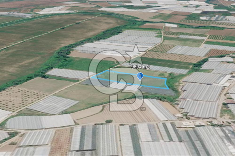 SERA HAVZASINDA NADİR FIRSAT SATILIK TARLA | 9894 m2  | YATIRIMLIK