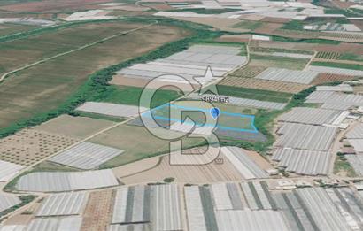 SERA HAVZASINDA NADİR FIRSAT SATILIK TARLA | 9894 m2  | YATIRIMLIK
