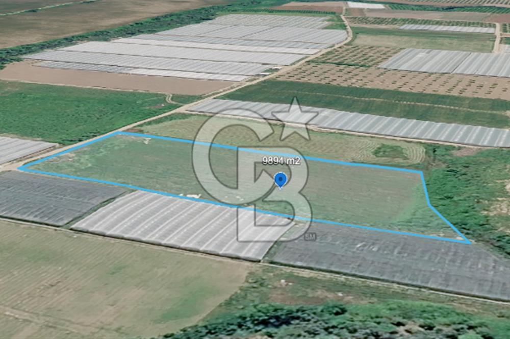 SERA HAVZASINDA NADİR FIRSAT SATILIK TARLA | 9894 m2  | YATIRIMLIK
