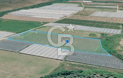 SERA HAVZASINDA NADİR FIRSAT SATILIK TARLA | 9894 m2  | YATIRIMLIK