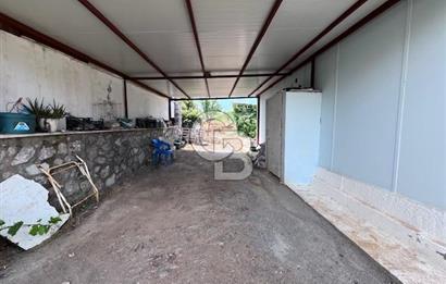 Manzaralı,Prefabrik Evli,Güneş Enerjili 1 Dönüm Zeytinlik