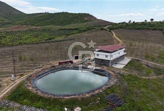 Manisa Salihli Poyrazda 275.726 M2 Entegre Ceviz İşleme Tesisi - 6 - 356898
