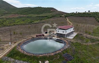 Manisa Salihli Poyrazda 275.726 M2 Entegre Ceviz İşleme Tesisi