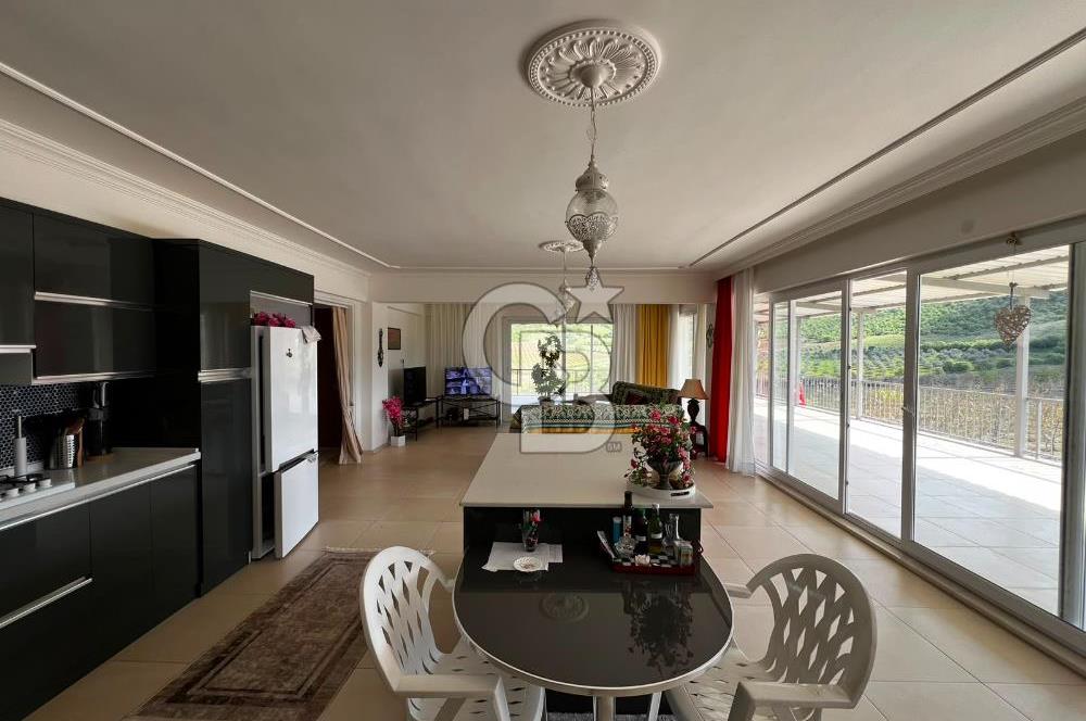 Manisa Salihli Poyrazda 275.726 M2 Entegre Ceviz İşleme Tesisi