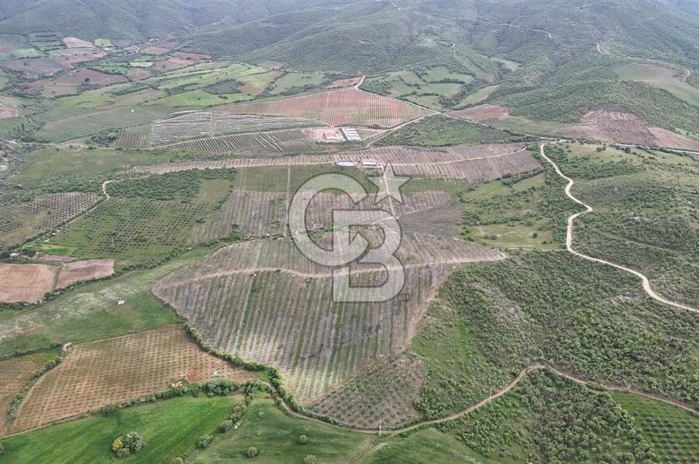 Manisa Salihli Poyrazda 275.726 M2 Entegre Ceviz İşleme Tesisi