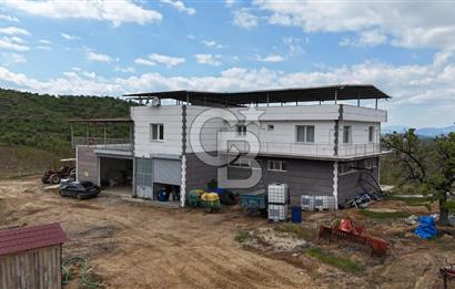 Manisa Salihli Poyrazda 275.726 M2 Entegre Ceviz İşleme Tesisi