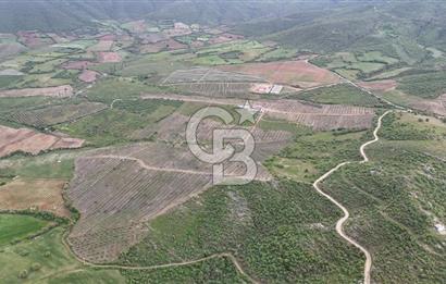 Manisa Salihli Poyrazda 275.726 M2 Entegre Ceviz İşleme Tesisi