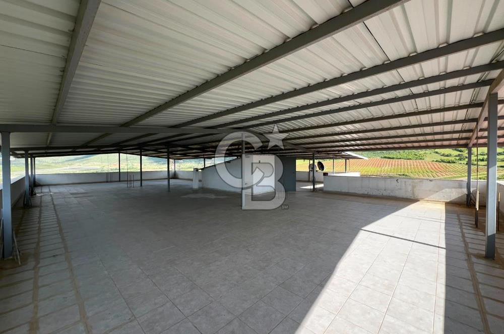 Manisa Salihli Poyrazda 275.726 M2 Entegre Ceviz İşleme Tesisi
