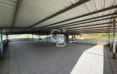 Manisa Salihli Poyrazda 275.726 M2 Entegre Ceviz İşleme Tesisi