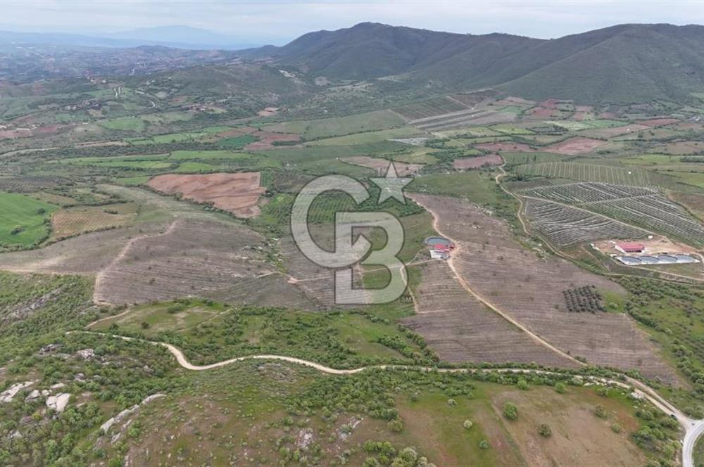 Manisa Salihli Poyrazda 275.726 M2 Entegre Ceviz İşleme Tesisi