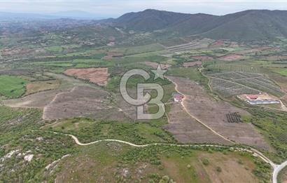 Manisa Salihli Poyrazda 275.726 M2 Entegre Ceviz İşleme Tesisi