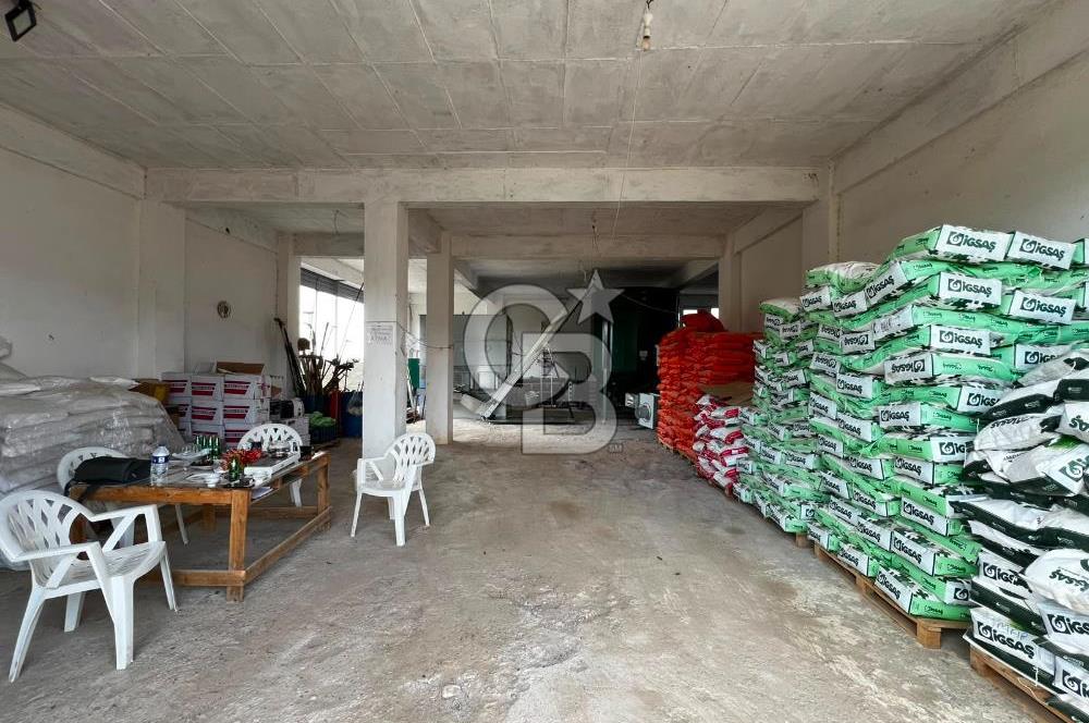 Manisa Salihli Poyrazda 275.726 M2 Entegre Ceviz İşleme Tesisi