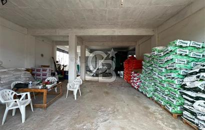 Manisa Salihli Poyrazda 275.726 M2 Entegre Ceviz İşleme Tesisi
