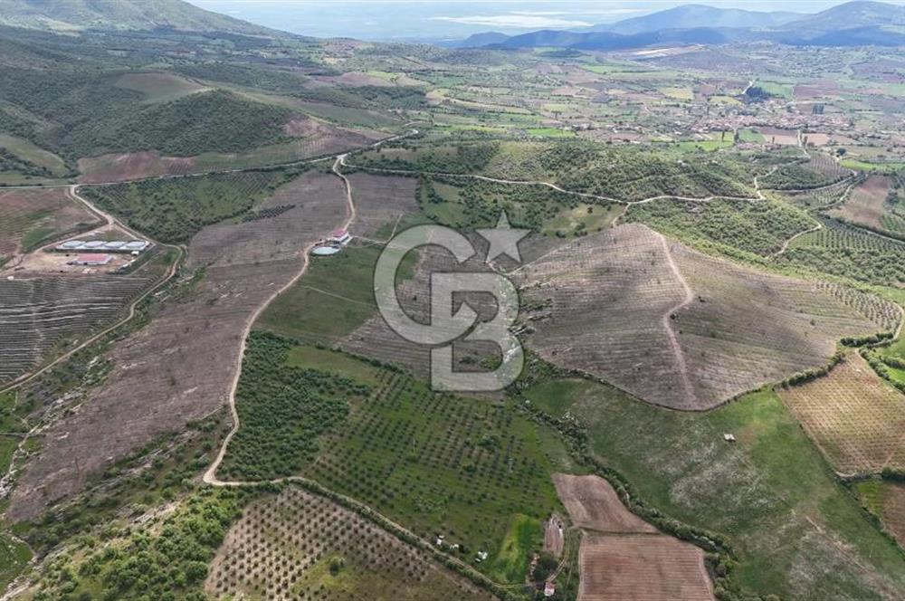 Manisa Salihli Poyrazda 275.726 M2 Entegre Ceviz İşleme Tesisi