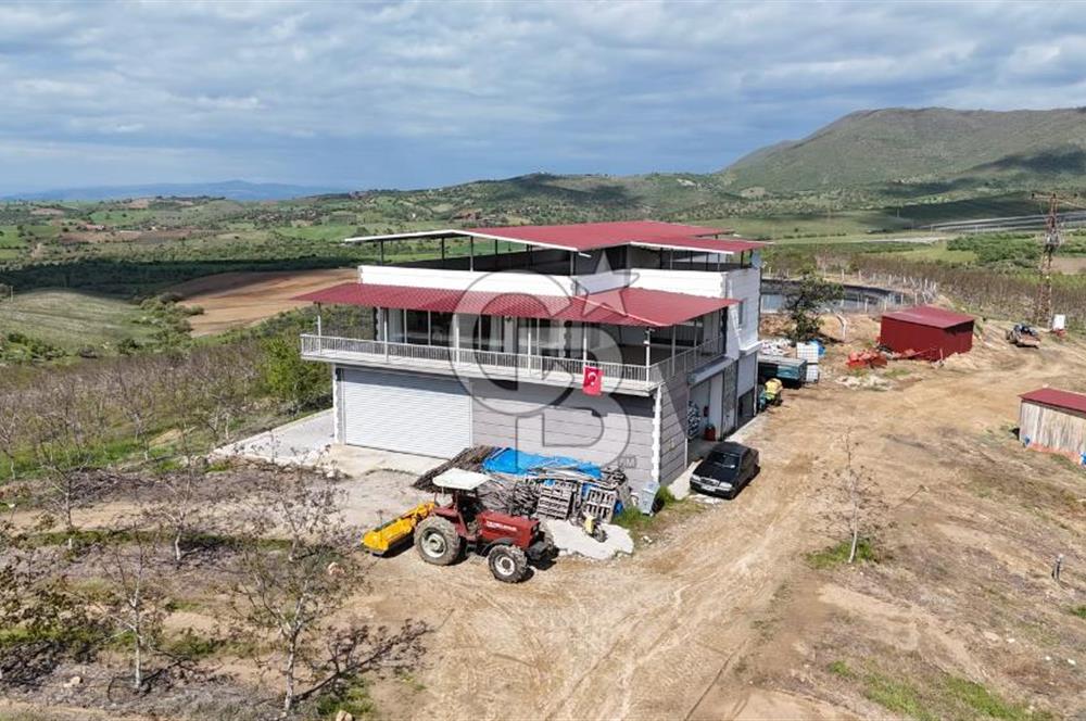 Manisa Salihli Poyrazda 275.726 M2 Entegre Ceviz İşleme Tesisi