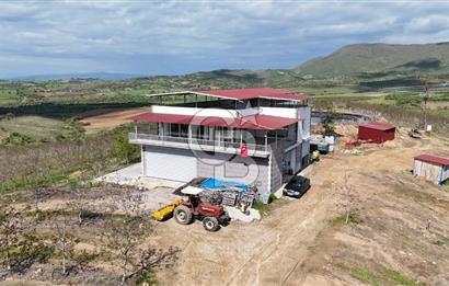 Manisa Salihli Poyrazda 275.726 M2 Entegre Ceviz İşleme Tesisi