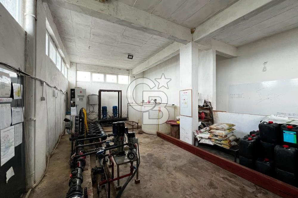 Manisa Salihli Poyrazda 275.726 M2 Entegre Ceviz İşleme Tesisi