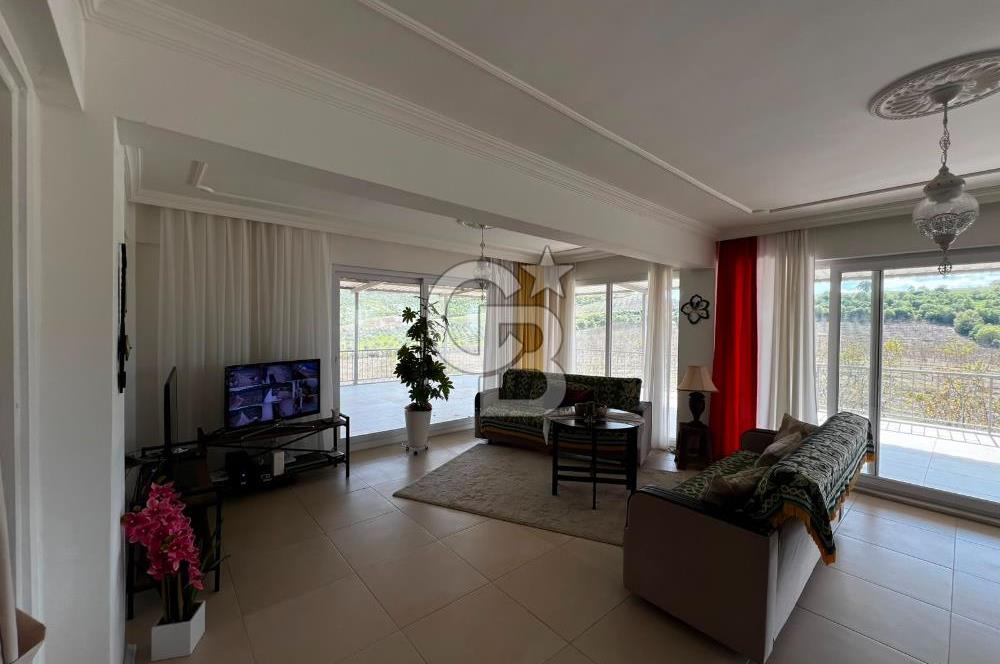 Manisa Salihli Poyrazda 275.726 M2 Entegre Ceviz İşleme Tesisi
