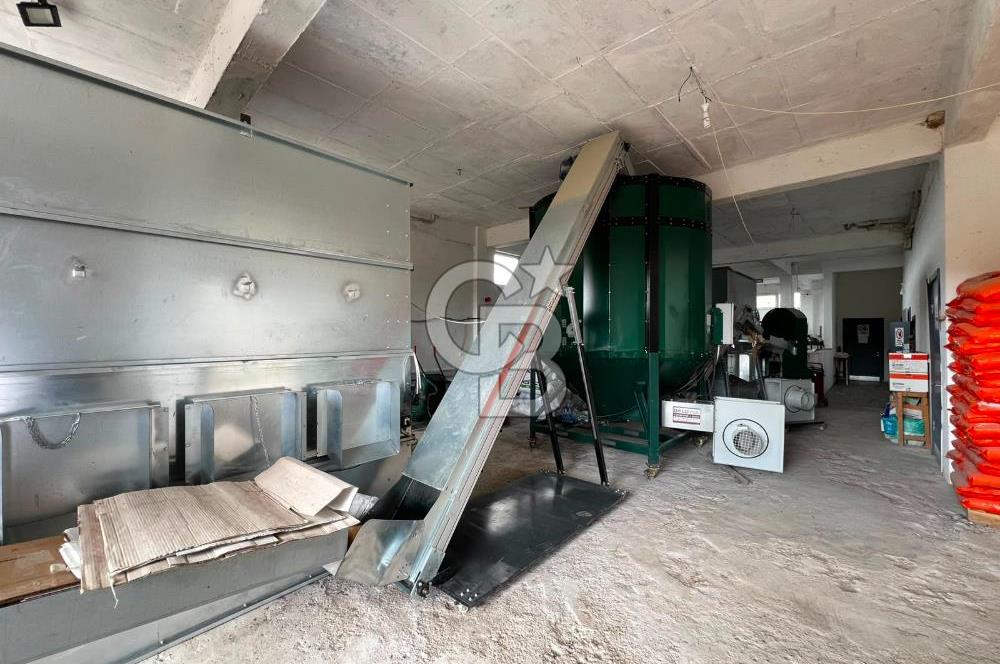 Manisa Salihli Poyrazda 275.726 M2 Entegre Ceviz İşleme Tesisi
