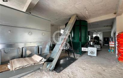 Manisa Salihli Poyrazda 275.726 M2 Entegre Ceviz İşleme Tesisi