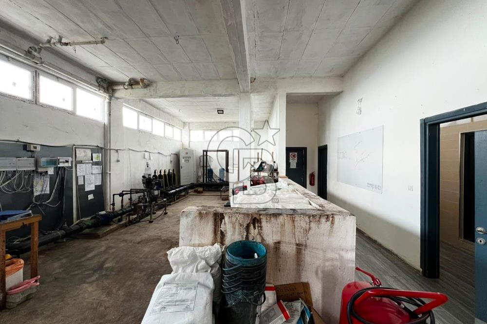 Manisa Salihli Poyrazda 275.726 M2 Entegre Ceviz İşleme Tesisi