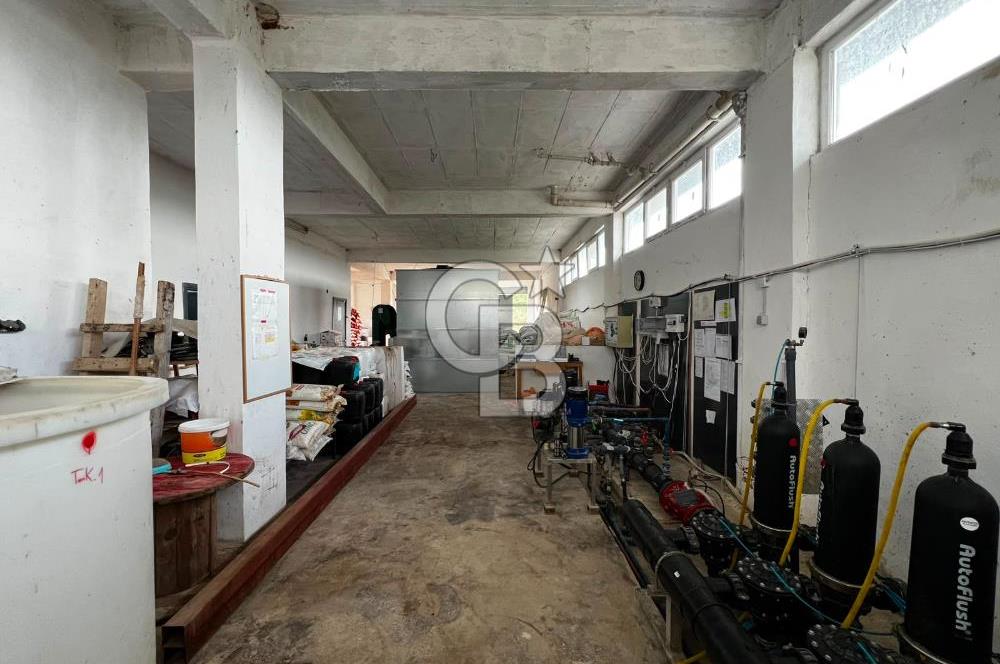 Manisa Salihli Poyrazda 275.726 M2 Entegre Ceviz İşleme Tesisi