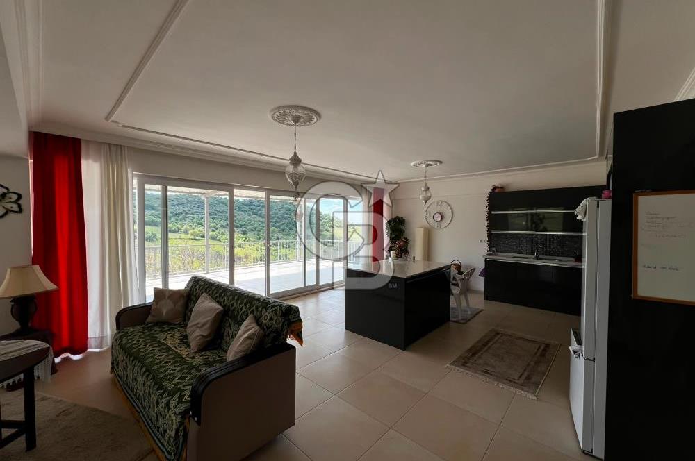 Manisa Salihli Poyrazda 275.726 M2 Entegre Ceviz İşleme Tesisi