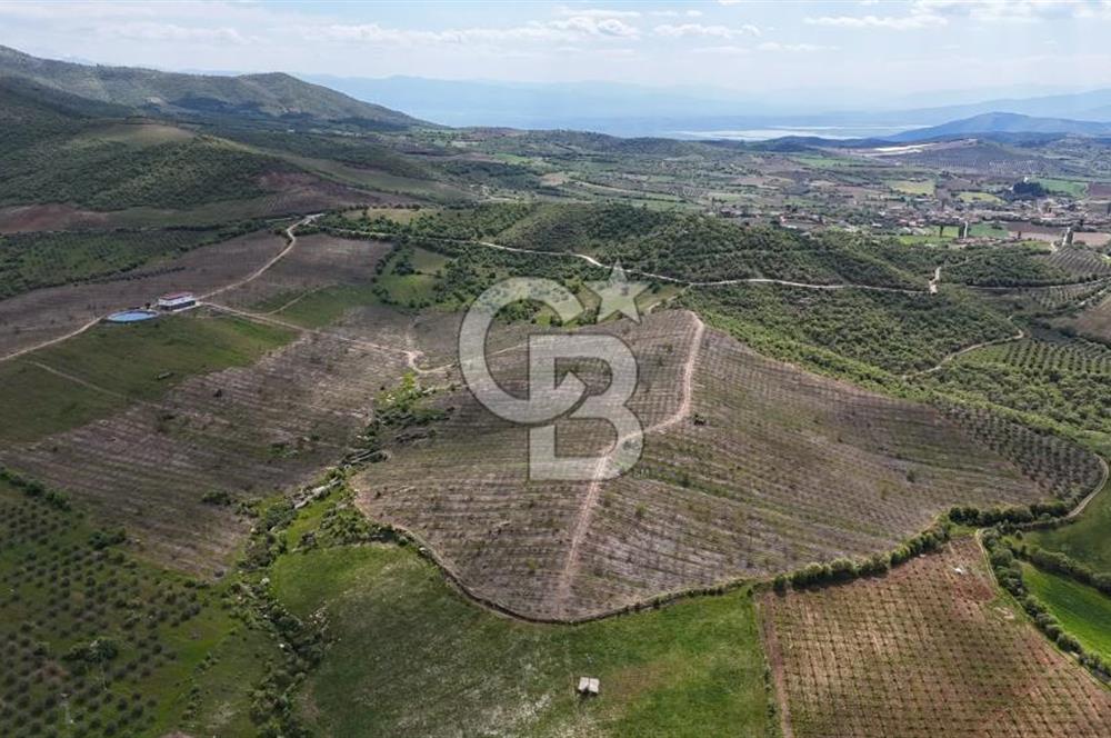 Manisa Salihli Poyrazda 275.726 M2 Entegre Ceviz İşleme Tesisi