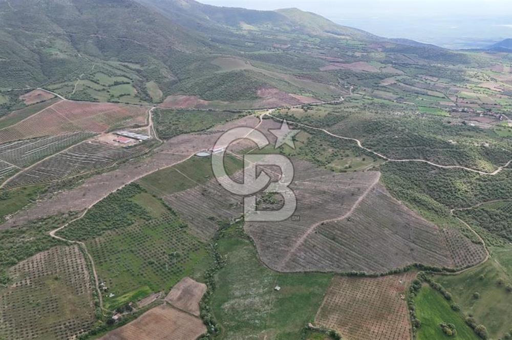 Manisa Salihli Poyrazda 275.726 M2 Entegre Ceviz İşleme Tesisi