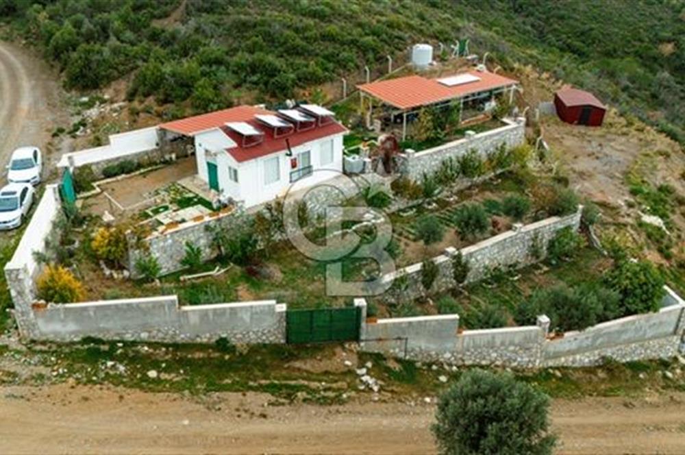 Manzaralı,Prefabrik Evli,Güneş Enerjili 1 Dönüm Zeytinlik